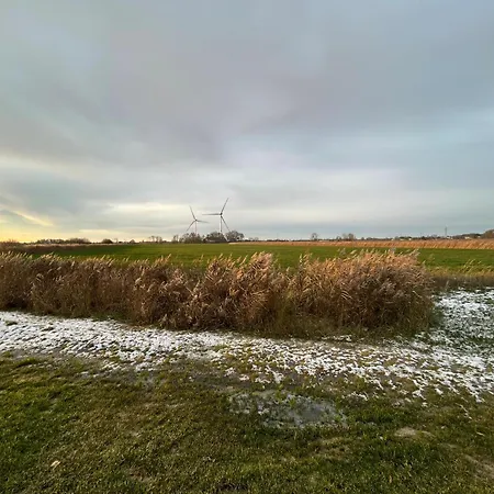 Gulfhof Wangermeer Gesa