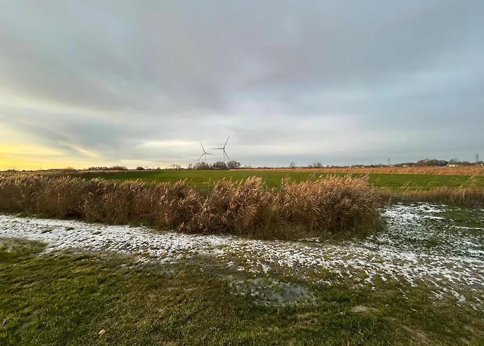 Gulfhof Wangermeer Gesa